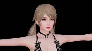 HS2 [DBLin] DOA Amy Head mod