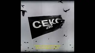 SEKSTSAGAANBOGD - ТЕЛЕПАТИК WITH 290