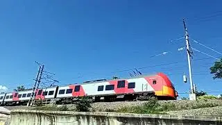 ЛАСТОЧКА НА ЧЕРНОМОРСКОМ ПОБЕРЕЖЬЕ.