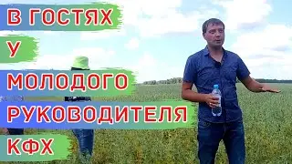 Полевой семинар. Яровая пшеница, яровой ячмень и яровой горох. Система питания и защиты растений.
