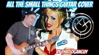 All the Small Things (by Blink-182) GUITAR COVER!