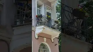 Бакусов в ленту