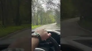 Еду к пушистым | Целый день не видел собак #акита #собакен