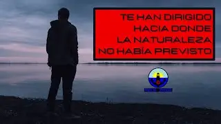 🔷 Tú NUNCA estás SATISFECHO… Los demás, sí | Osho ---- [WLUZOUL]