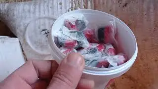 Глистуем поросят , травим мышей🐭. расказы про продукцию