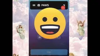 HOW  TO CHECK PAWS ALLOCATION ( mainly for multiple accout owners)