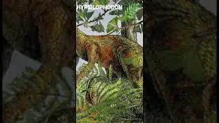 Hypsilophodon - Un jour, Un dino