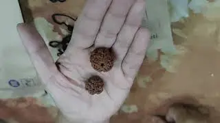 Isha Rudraksha Diksha Unboxing
