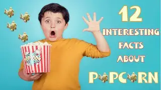 Facts About Pop Corns | Project | Premiere Pro/After Effects