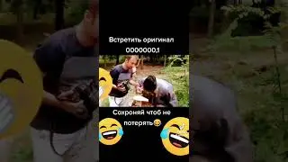 мой гриб