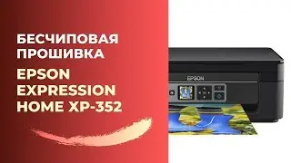 Бесчиповая прошивка Epson XP-352 | Видеоинструкция