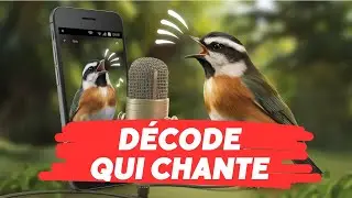 Simple&Gratui - Comment identifier les oiseaux avec ton smartphone ?