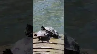 Vacation in MIAMI!