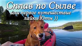 Сплав по Сылве. Или первое путешествие лайки Юты)).