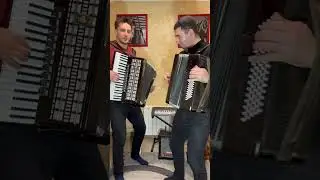 Белые розы на аккордеонах