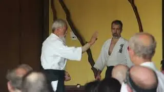 Mitsugi Saotome Shihan: Defense and offense in one move