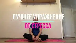 Лучшее упражнение от стресса