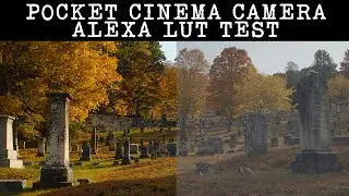 ARRI ALEXA LUT for BMPCC 4K, BMPCC 6K and RED KOMODO
