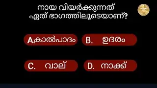 42.വെറൈറ്റി ചോദ്യങ്ങളും ഉത്തരങ്ങളും