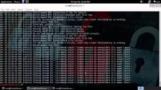 Tor Hidden Services as a free static IP plus OnionCat VPN