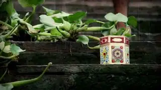volk- e prithibi amar official video