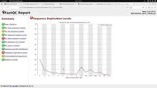 FastQC Quality Control for RNA Seq