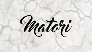 Mihilow - Matori 2014