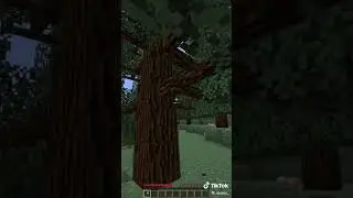 Minecraft meme Subsribe Майнкрафт мем Подпишись #shorts #minecraftmemes 14