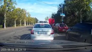 Одесса, Аэропорт, дорога, белка