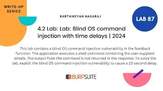 4.2 Lab: Lab: Blind OS command injection with time delays | 2024