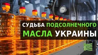 Факторы влияния на масложировой рынок Украины | Latifundist
