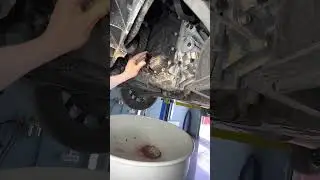 Киа соренто на аппаратную замена масла в автомате и регенерации кондиционера