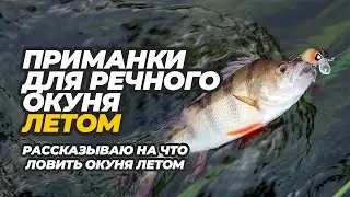 На что ловить окуня летом. Выбор приманки