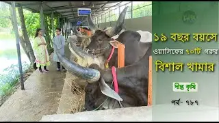 Deepto Krishi/দীপ্ত কৃষি- ১৯ বছর বয়সে ওয়াসিফের ৭০টি গরুর বিশাল খামার | চট্টগ্রাম |পর্ব- ৭৮৭