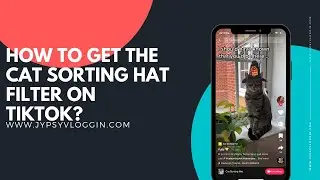 How to get the Cat Sorting Hat filter on TikTok