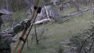 Sambar hind with a longbow