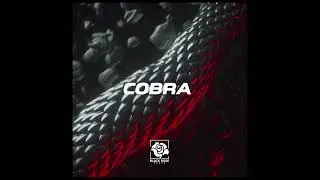 dancehall type beat 
