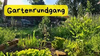 Mein Garten im Juni: Status der Pflanzen im Gartenrundgang
