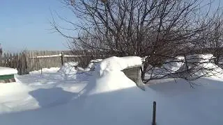 2020г  Зимовка пчёл под снегом
