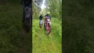 ПОКАТУШКИ ПО ЛЕСУ #мотоцикл #покатухи #moto #покатушки #dirtbike #motorcycle #progasi #kayo #прохват