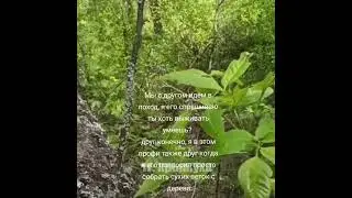 ХАХАХАХА ЖИЗА #ЖИЗА