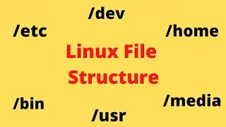 Linux file structure. File structure in Ubuntu. Linux file directory @simanstudies