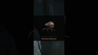 Фу, грязный кирпич! | RE Revelations 2