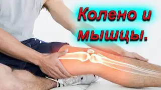 Knee problems. How does muscle shortening affect you?
