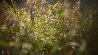 Мантра когда надо победить все недуги, обрести крепкое здоровье и долгую жизнь