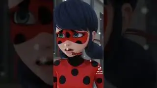TikTok 2022