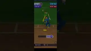 cricket game play