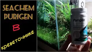 Experience of using Seachem Purigen in a shrimp tank