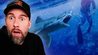 HAI ATTACKIERT 4 MENSCHEN in den USA?! Hai Attacken analysiert | Robert Marc Lehmann