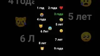 11 ноября 2023 г.